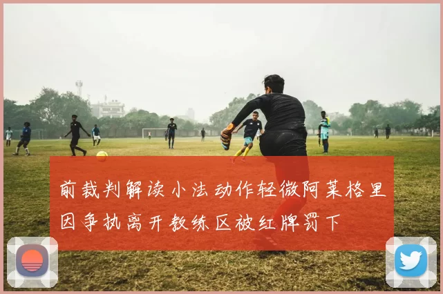 前裁判解读小法动作轻微阿莱格里因争执离开教练区被红牌罚下
